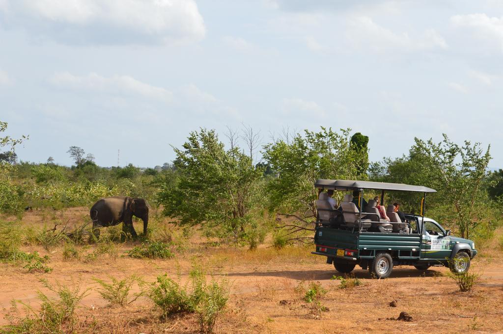 Wild Panthera Yala Tissamaharama Exterior foto