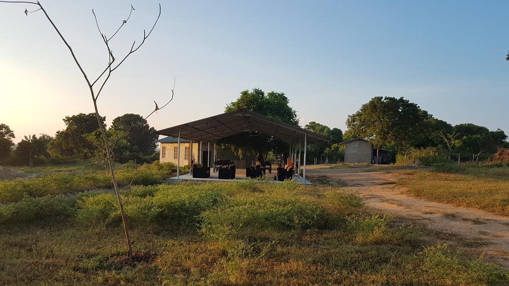 Wild Panthera Yala Tissamaharama Exterior foto