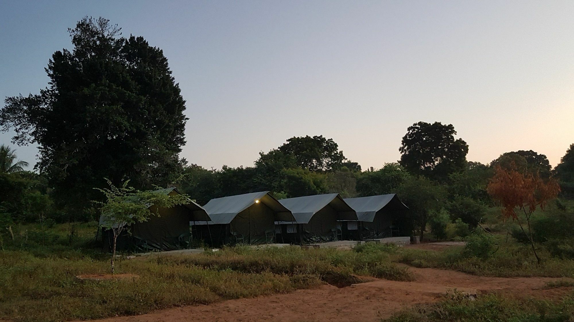 Wild Panthera Yala Tissamaharama Exterior foto